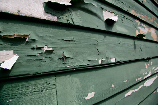 Best Same-Day Junk Removal Services  in Gadsden, AL